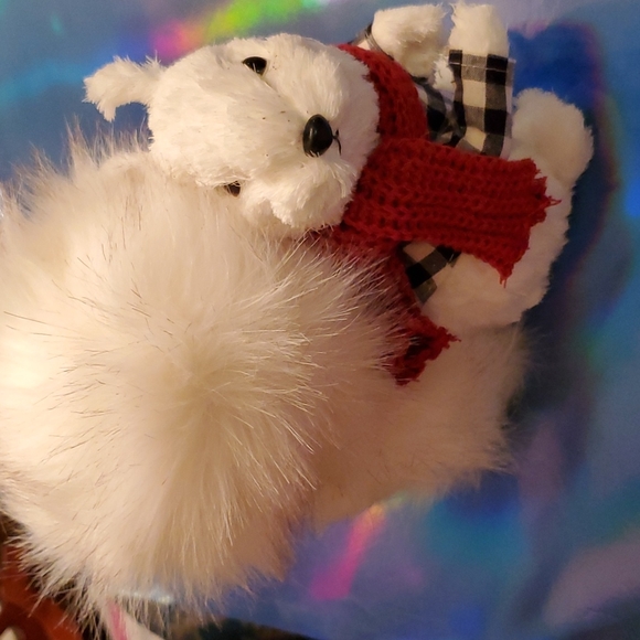 White squirrel - Picture 2 of 5